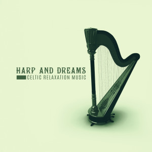 收聽Celtic Chillout Relaxation Academy的576 Hz Vibrational Harp歌詞歌曲