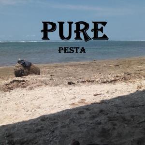 Album Pesta from Pure