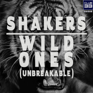 ดาวน์โหลดและฟังเพลง Wild Ones (Unbreakable) (Radio Edit) พร้อมเนื้อเพลงจาก Shakers
