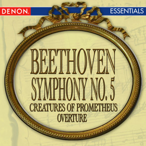 ดาวน์โหลดและฟังเพลง Symphony No. 5 in C Minor, Op. 67: I. Andante con moto พร้อมเนื้อเพลงจาก Moscow RTV Symphony Orchestra