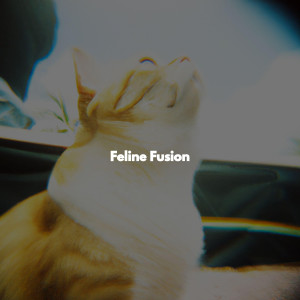 Feline Fusion
