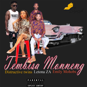 Listen to Tembisa Monneng song with lyrics from DistructiveTwins
