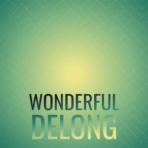 Album Wonderful Delong from Various