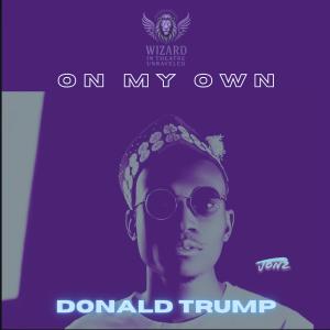 Listen to Donald Trump (Explicit) song with lyrics from Jonz