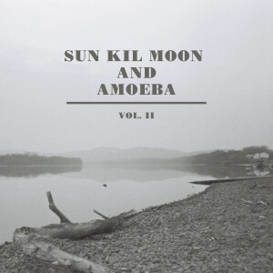 Album Sun Kil Moon and Amoeba, Vol. II from 