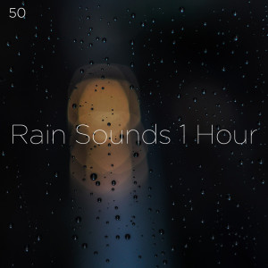 Dengarkan Deep Sleep Rain lagu dari Rain Sounds dengan lirik