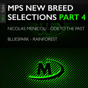 Listen to Rainforest song with lyrics from Bluespark