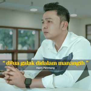 收听Harry Parintang的DILUA GALAK DIDALAM MANANGIH (Acoustic Version|Explicit)歌词歌曲