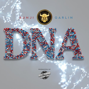 Bunji Garlin的专辑Dna