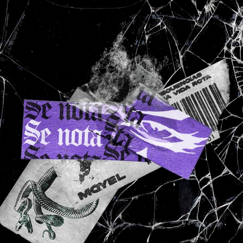 Se Nota (Explicit)