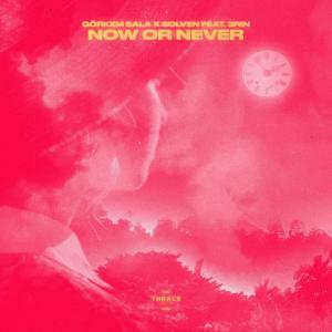 Görkem Sala的专辑Now or Never