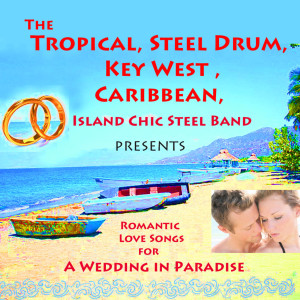 Listen to Pachelbel's Canon In D (Steel Drums and Violins) song with lyrics from Island Chic Steel Band