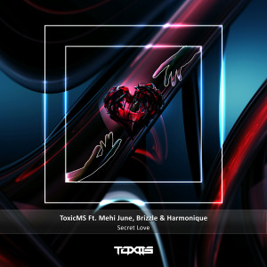 Album Secret Love from ToxicMS