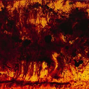 The Dog of Tears的專輯dogspiral2