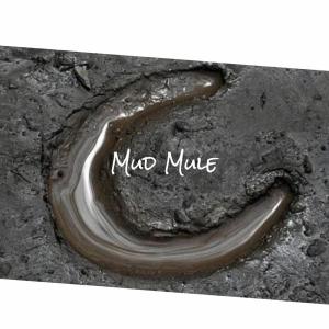 Dengarkan Laudable Week lagu dari Pame Cicy dengan lirik