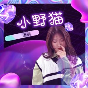 湯倩的專輯小野貓