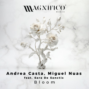 Andrea Casta的專輯Bloom (feat. Sara De Sanctis) (Extended Mix)