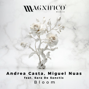 Andrea Casta的專輯Bloom (feat. Sara De Sanctis)