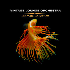 收听Vintage Lounge Orchestra的All Around the World歌词歌曲