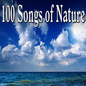 Chip Falcon的專輯100 Songs of Nature