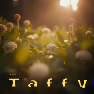 收聽Yumi的Taffy歌詞歌曲