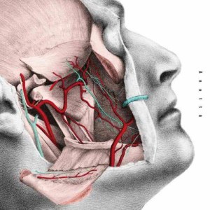 อัลบัม Anatta ศิลปิน Easy Shen