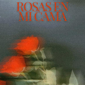 收聽T1NO的Rosas en mi cama歌詞歌曲