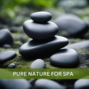Album Pure Nature for Spa (Deep Relaxation Zen, Massage & Wellness, Inner Peace, Well-Being) from Well-Being Center