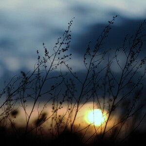 收聽灰階的泛光 (完整版)歌詞歌曲