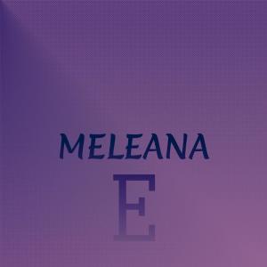 Listen to Meleana E song with lyrics from Leonard Kwan & Raymond Kane