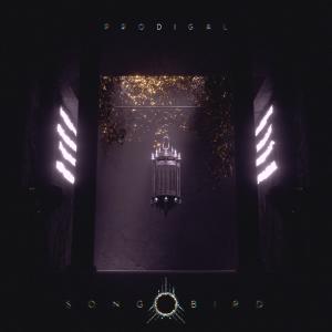 收聽Prodigal的Songbird歌詞歌曲