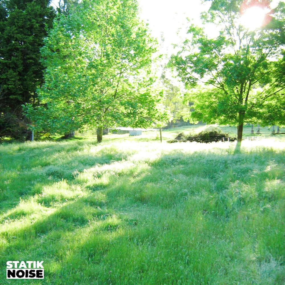 MOSS (Explicit)