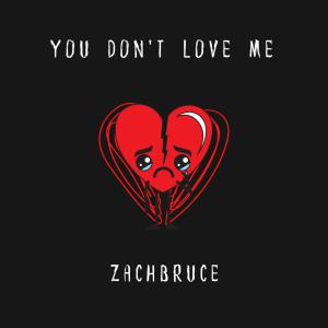 Zach Bruce的專輯You Don't Love me