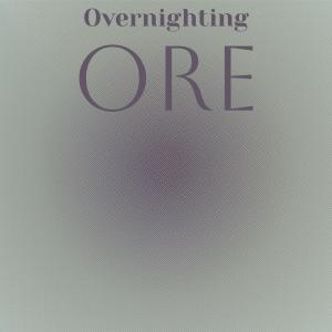 อัลบัม Overnighting Ore ศิลปิน Various