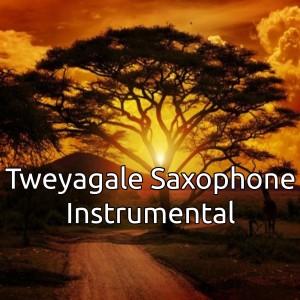 Album Tweyagale Saxophone Instrumental oleh Relaxing Music to Feel Good