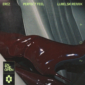 Album Perfect Feel (Lubelski Remix) from Erez