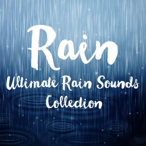 收聽Nature and Rain的Rain to Make You Sleep歌詞歌曲