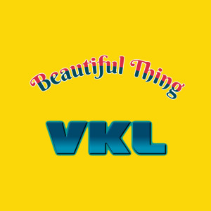Listen to Beautiful Thing song with lyrics from VKL