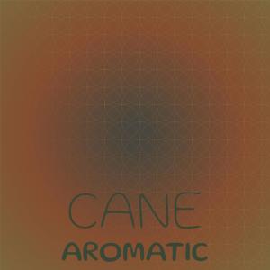 Various Artists的專輯Cane Aromatic