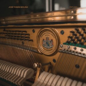 收聽José Tomás Molina的Concordia (Live From Home)歌詞歌曲