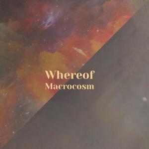 Album Whereof Macrocosm from Various