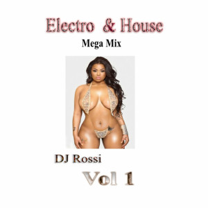 ดาวน์โหลดและฟังเพลง Electro House Mega Mix, Vol. 1 พร้อมเนื้อเพลงจาก DJ Rossi