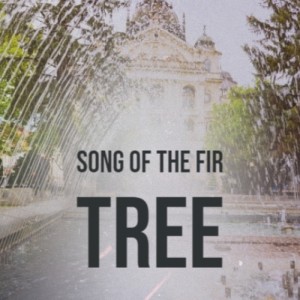 Various Artists的專輯Song of the Fir Tree