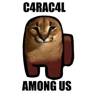 ดาวน์โหลดและฟังเพลง Among Us พร้อมเนื้อเพลงจาก C4RAC4L