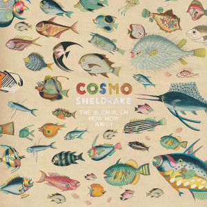 收聽Cosmo Sheldrake的Axolotl歌詞歌曲