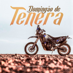 Listen to Domingão de Tenera (Explicit) song with lyrics from MC Diamond