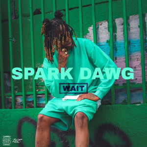 Album Wait oleh Spark Dawg