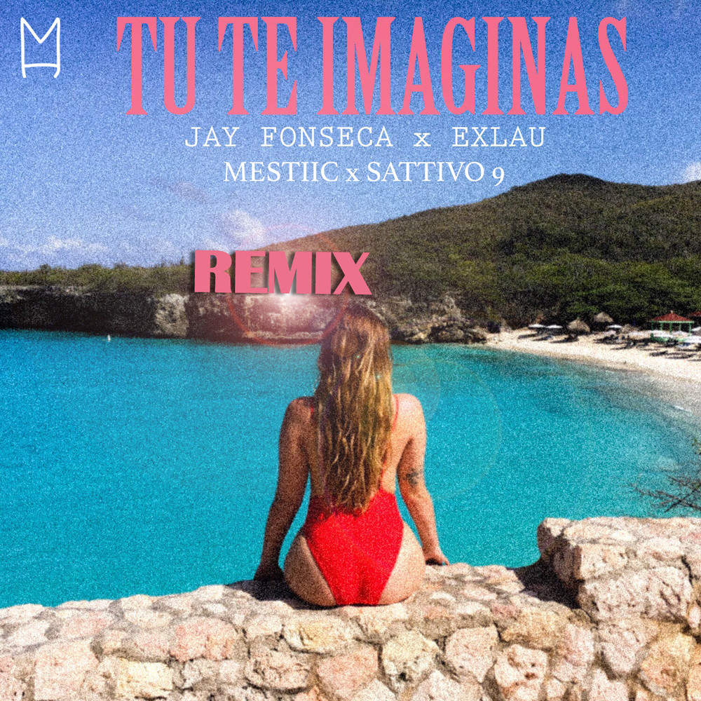 Tu Te Imaginas (Remix)