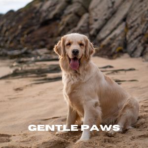 ดาวน์โหลดและฟังเพลง Tranquil Hearts (Loopable, No Fade) พร้อมเนื้อเพลงจาก Chiens relaxation profonde