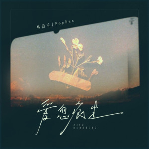 Listen to 爱愈痕生（离离分分） song with lyrics from 林韵乔